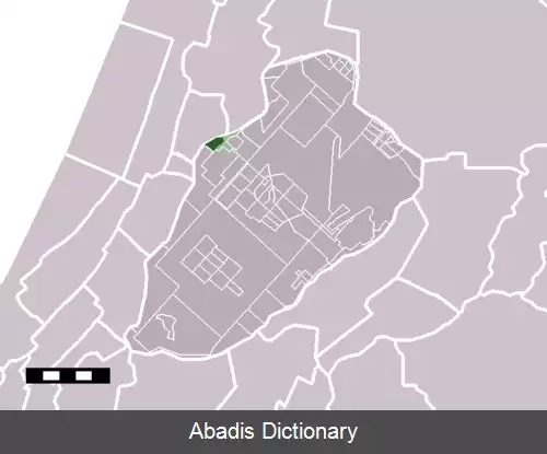 عکس کروکیوس