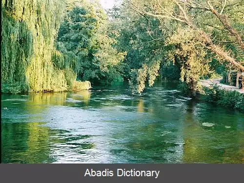 عکس رود تست