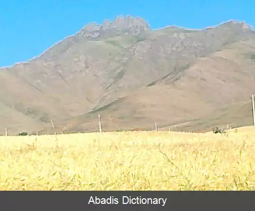 عکس احمدآباد پنجه