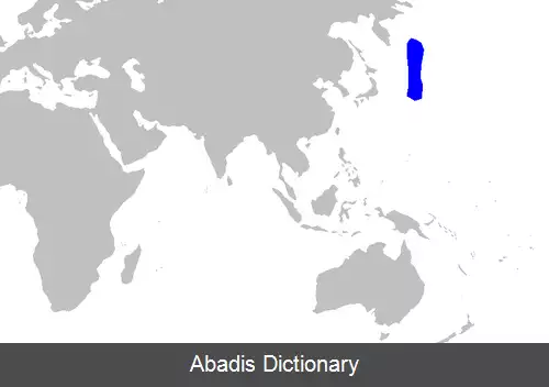 عکس سگ ماهی باله بلند