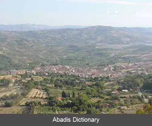 عکس بیوونا