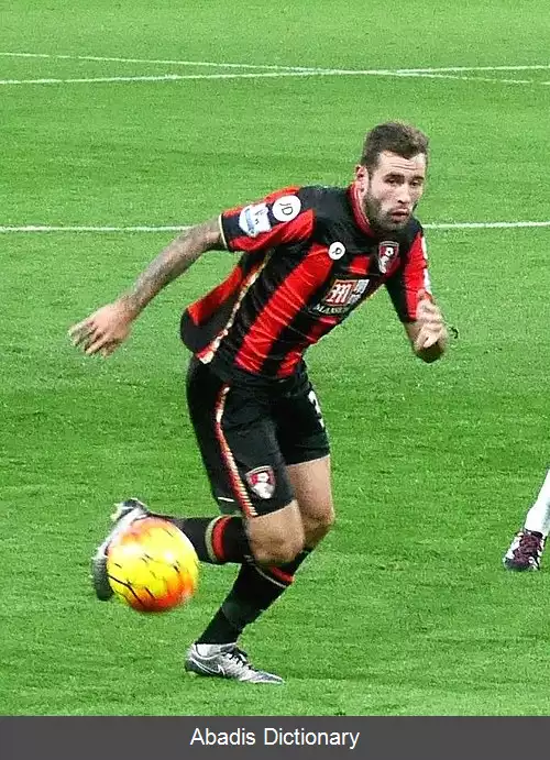 عکس استیو کوک