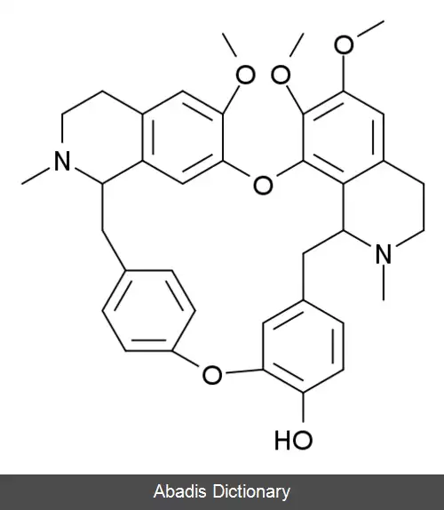 عکس بربامین