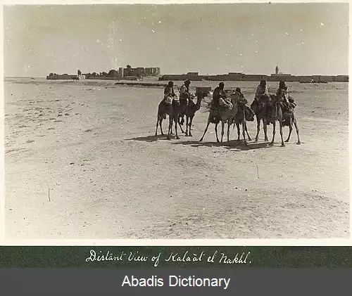 عکس قلعه النخل