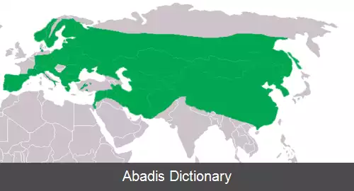 عکس شاه بوف اوراسیایی