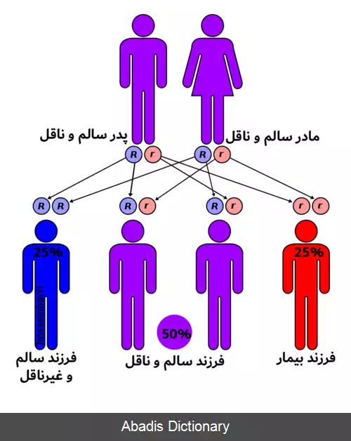 عکس بیماری تانژیر
