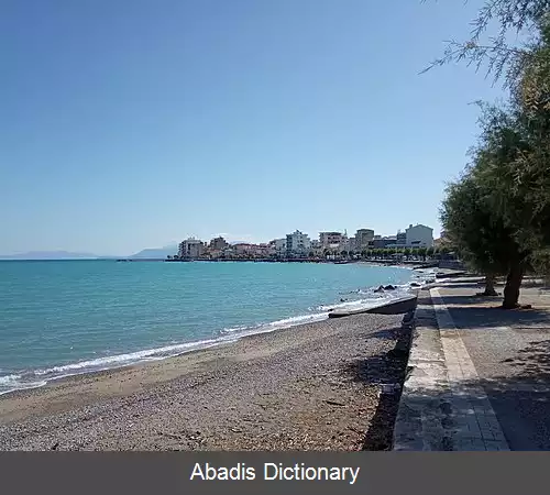 عکس زیلوکاسترو