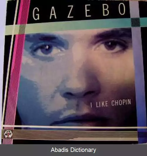 عکس من شوپن را دوست دارم