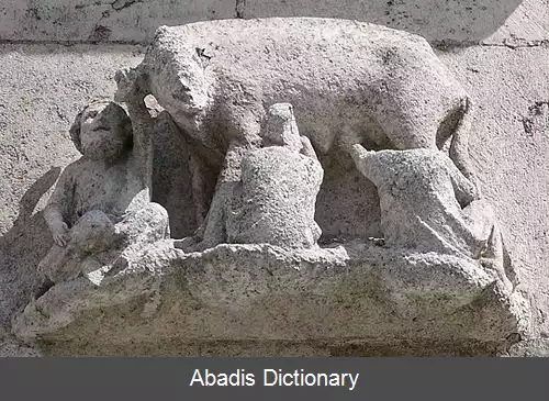 عکس خوک جهودها