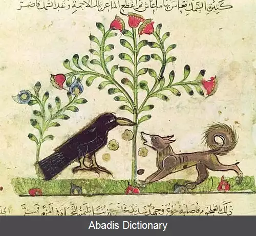 عکس روباه و زاغ