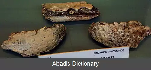 عکس کریستاتوسور