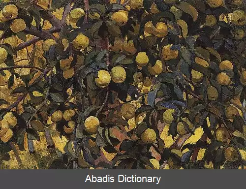 عکس زینایدا سربریاکوآ