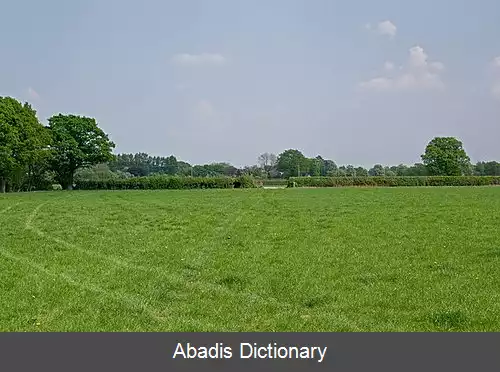 عکس چارلوود