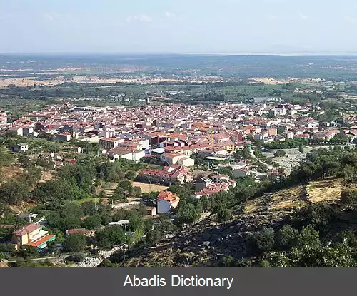 عکس کاندلدا