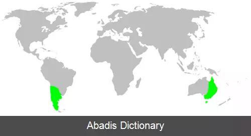 عکس عنکبوت های سپردار