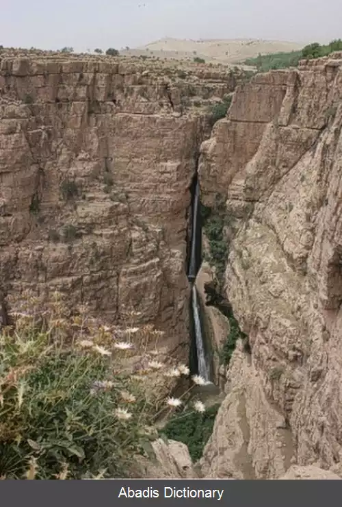 عکس ریژآو