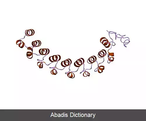 عکس تکرار غنی از لوسین