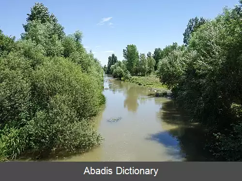 عکس سورامولا