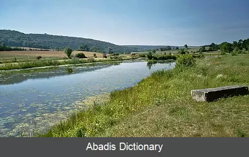 عکس بزوایلس سور موس