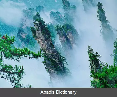 عکس ولینگ یانگ