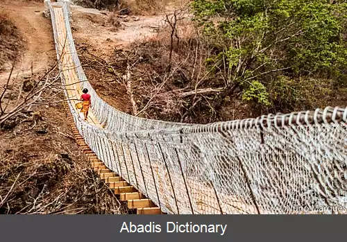 عکس زنجیرواره