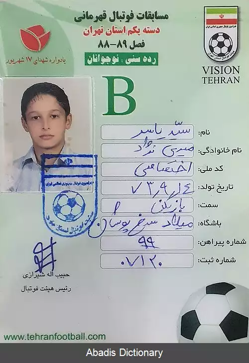 عکس سید یاسر میری نژاد