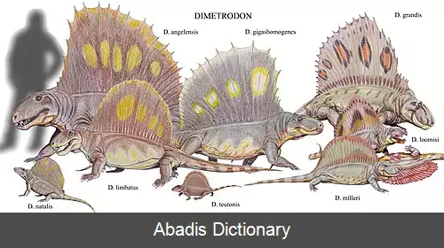 عکس دیمترودون