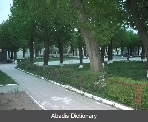 عکس بیبرکا