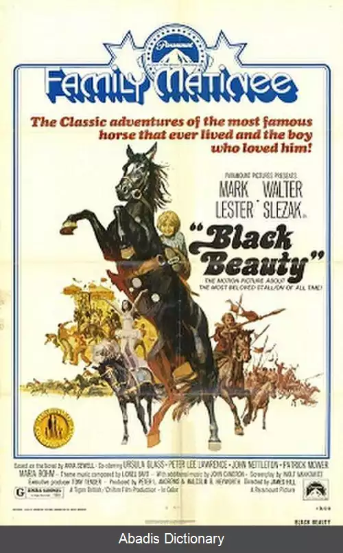 عکس زیبای سیاه (فیلم ۱۹۷۱)