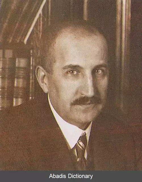 عکس دنش برینکی