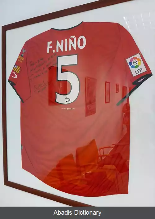 عکس فرناندو نینیو (بازیکن فوتبال زاده ۱۹۷۴)