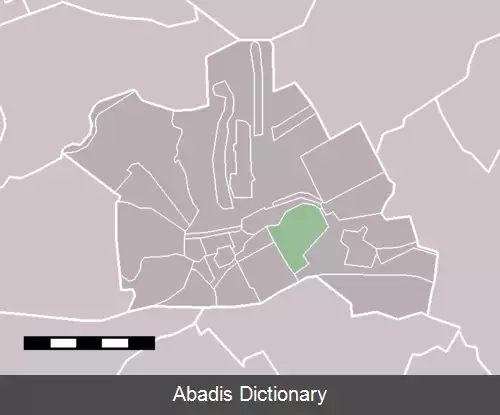 عکس بریولد