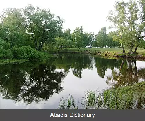 عکس رود بورلا