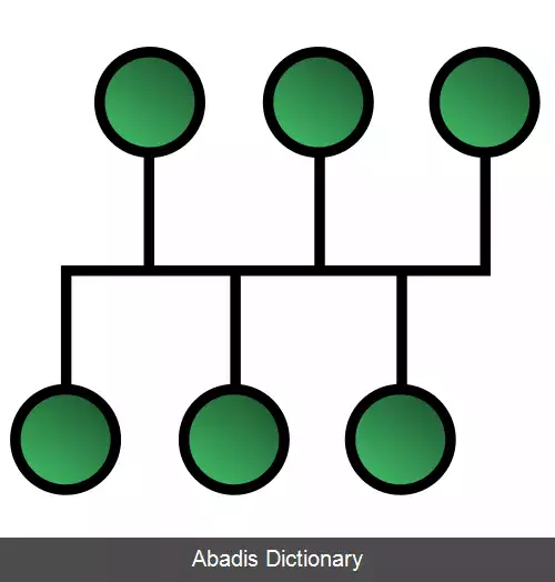 عکس شبکه باس