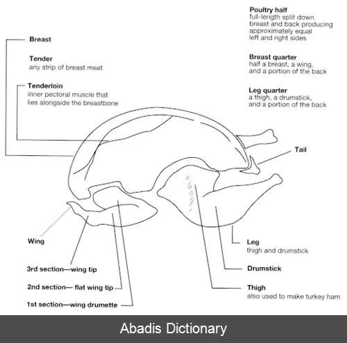 عکس فهرست منابع غذایی دارای کالری