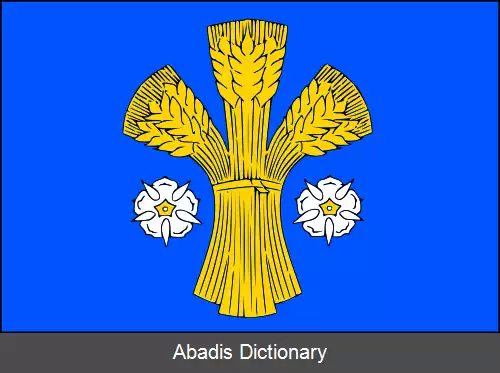 عکس دولنی لوتینی