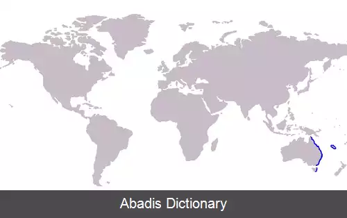 عکس سفیدگون ماسه زی