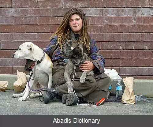 عکس فقر در ایالات متحده