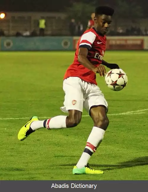 عکس استفان اکونر