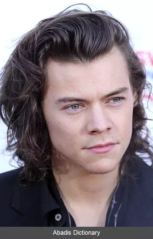 عکس فهرست جایزه ها و نامزدی های هری استایلز