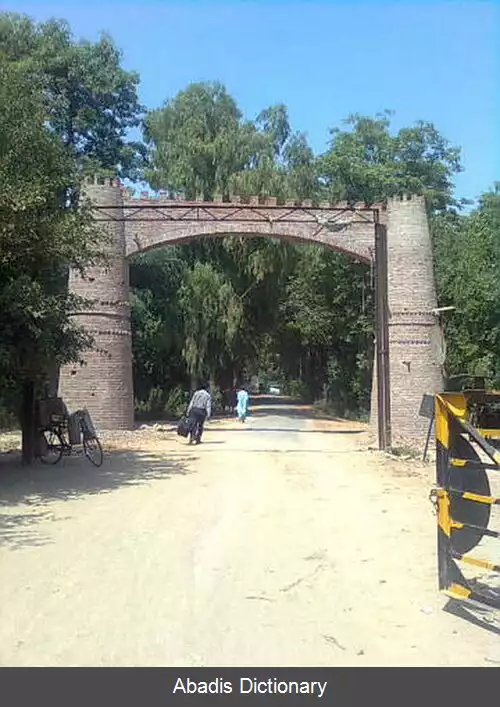 عکس چک ۱۱۰/۷ آر
