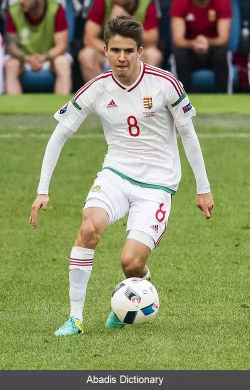 عکس آدام نادی
