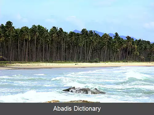 عکس سن ویسنته