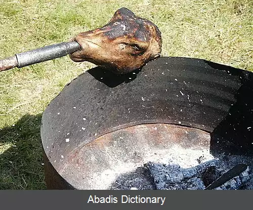 عکس سمالاهاو