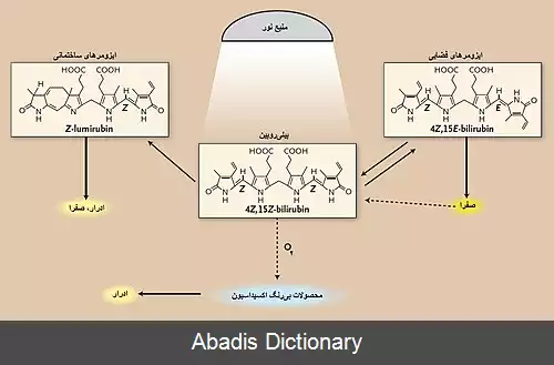 عکس فتوتراپی نوزادان