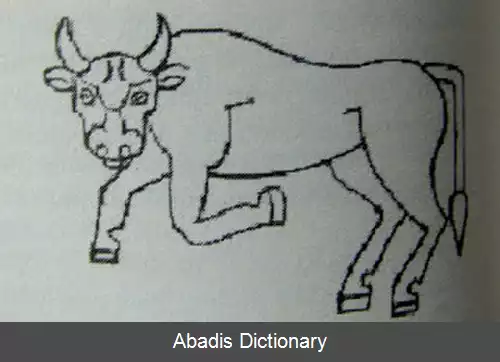 عکس کامسرکان