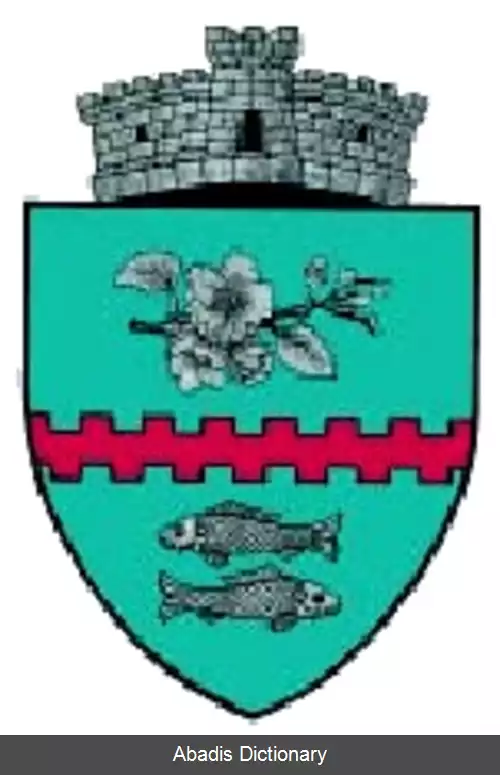 عکس بونستی
