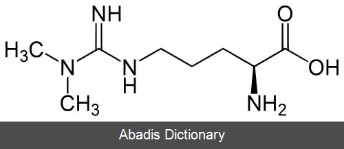 عکس دی متیل آرژینین نامتقارن