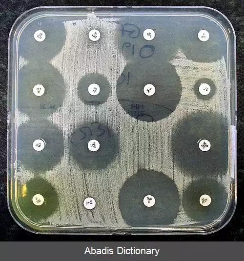 عکس آزمایش حساسیت به آنتی بیوتیک