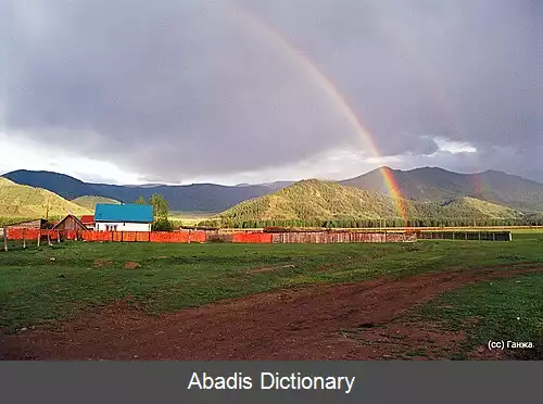 عکس بووچی